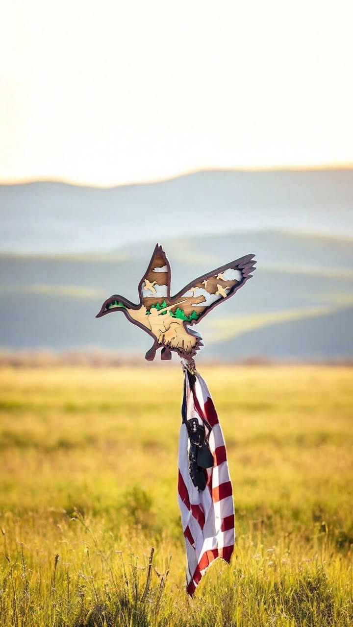 Layered Duck Sign