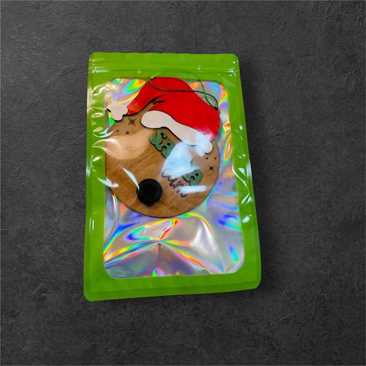 Santa Cam