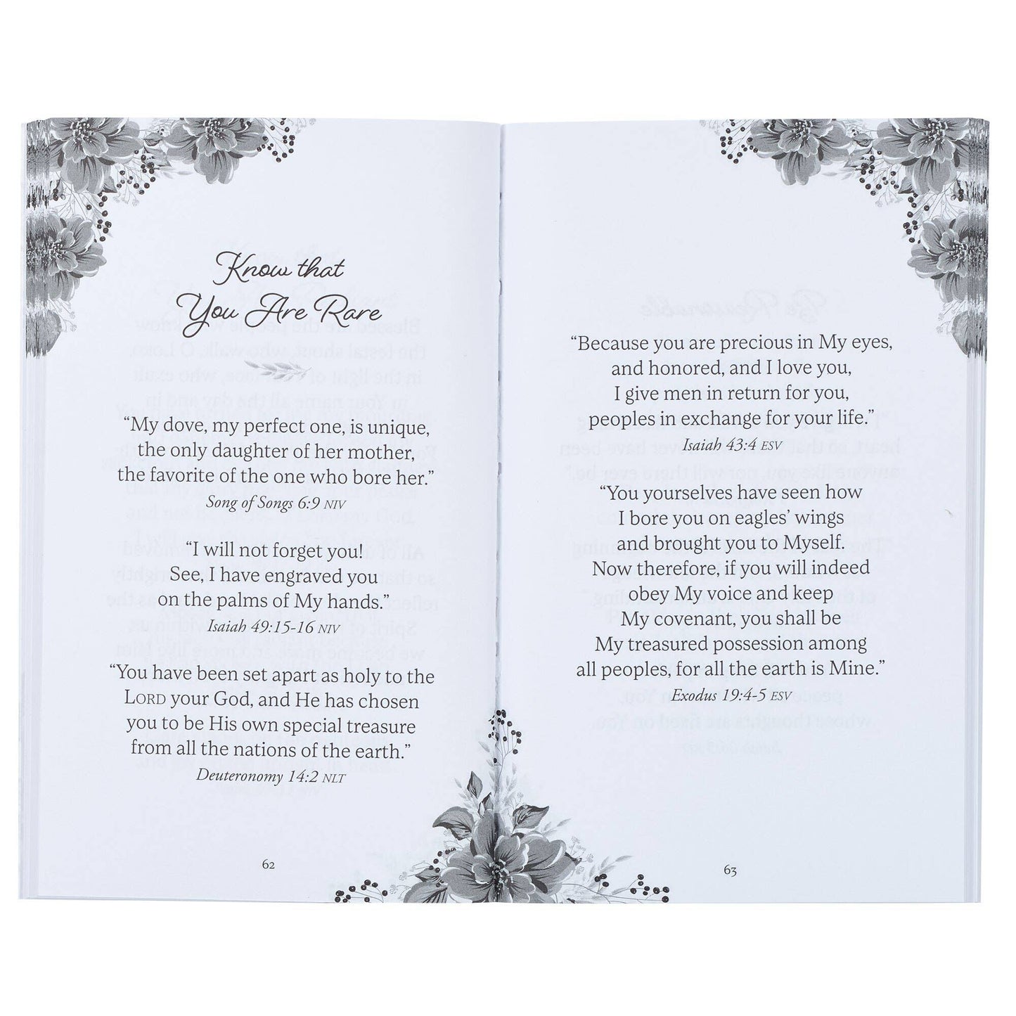 Promises from the Word for Women